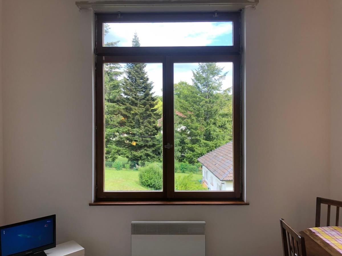 Loft Mon Soleil Apartment Le Hohwald Ngoại thất bức ảnh